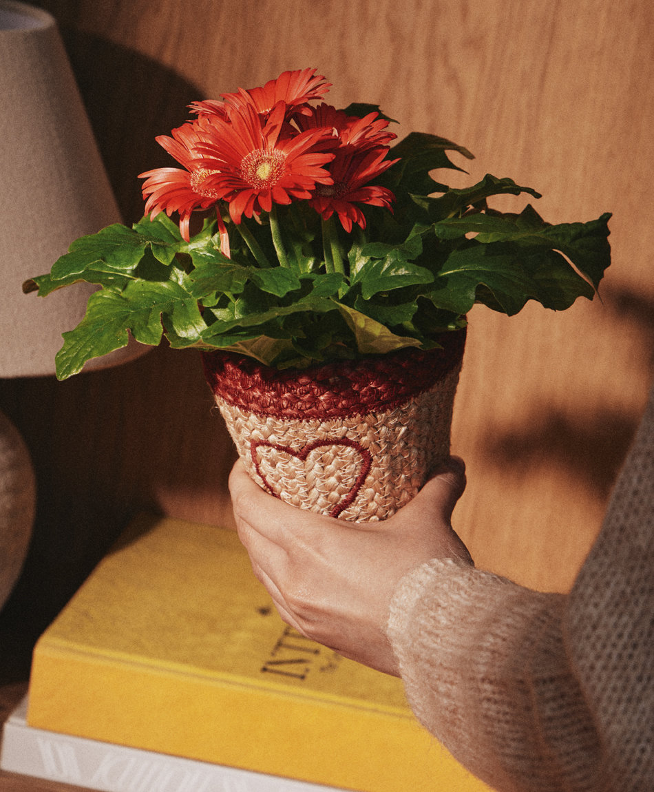 8 Sweet Heart Waffles