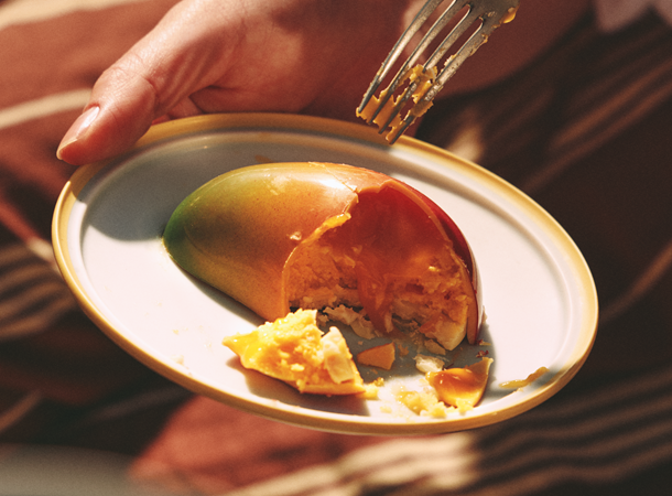 No.1 2 Alphonso Mango Desserts